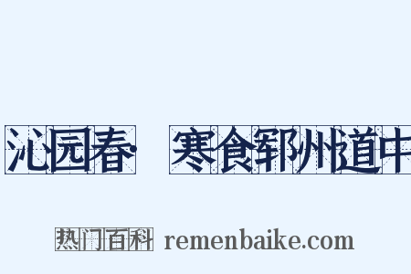 沁园春·寒食郓州道中是什么意思的图片